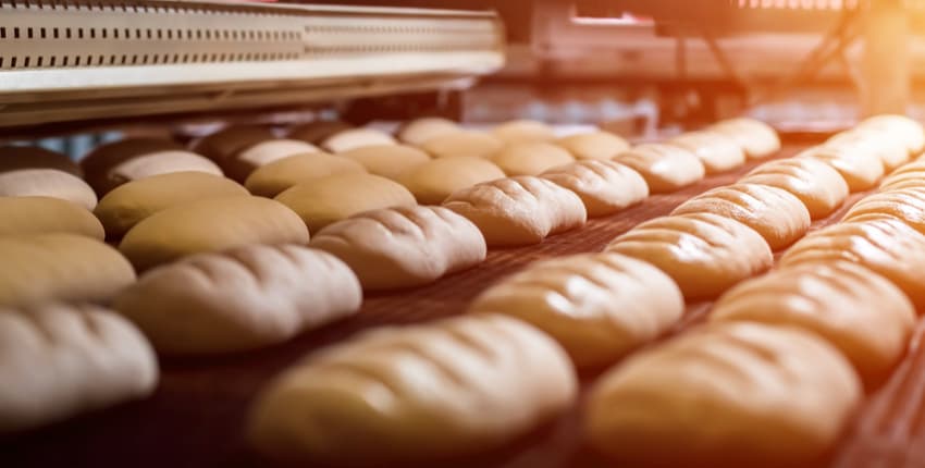 Conveyor-oven